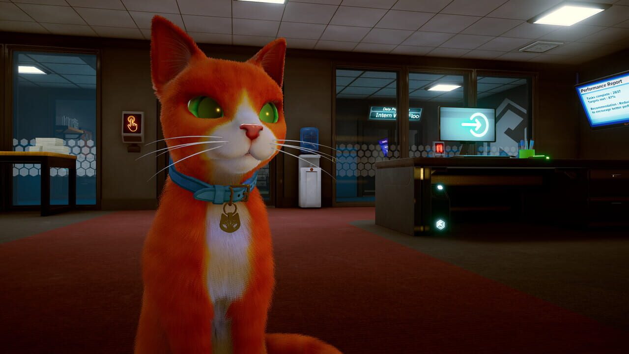 Mittens splits into two states at once, the quantum trick every Schrödinger's Cat Burglar reviewer agrees works.