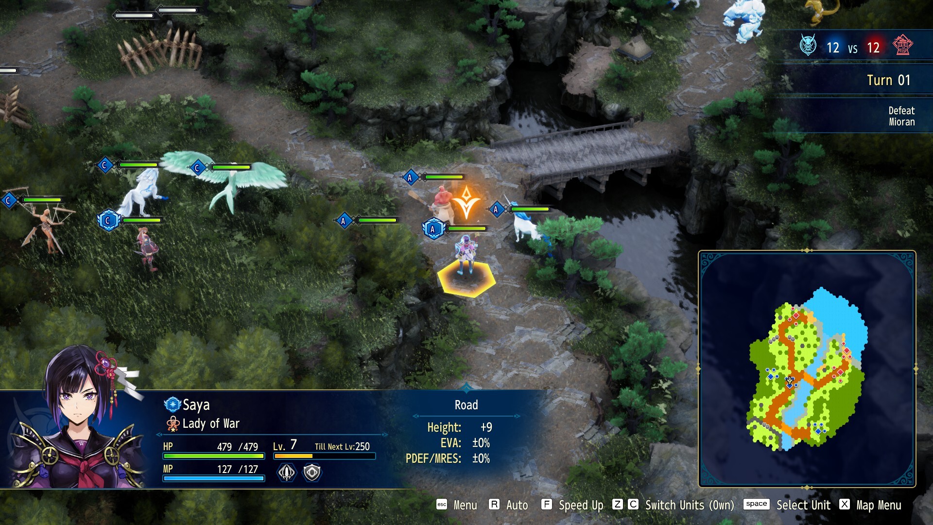 A large tactical encounter in Brigandine Abyss
