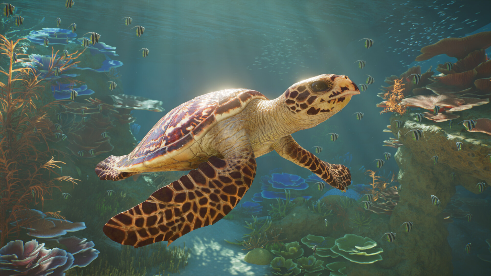 Planet Zoo 2 screenshot: a sea turtle swimming in a coral aquarium
